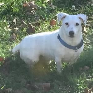 Meet your Posher, Joanna